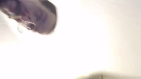 funtimes49203 online show from January 25, 12:47 pm