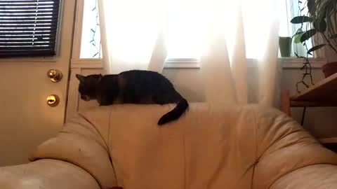 Jacob online show from February 17, 9:47 pm