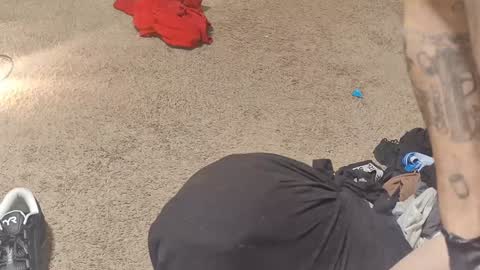 Bootyshows online show from December 4, 5:16 pm