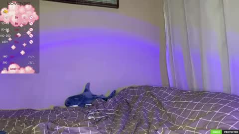 Jane online show from December 14, 3:50 am