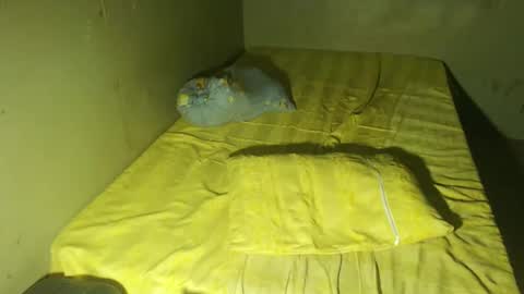 JANE online show from January 23, 4:09 am