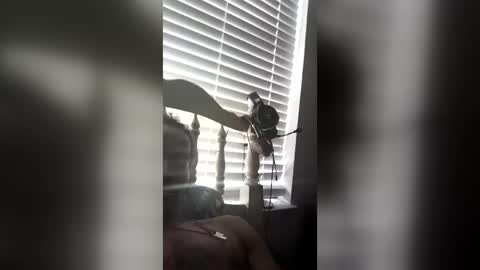 jaquanrivera online show from June 18, 8:47 pm