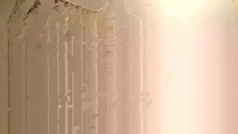 Jay Banks online show from November 15, 11:06 pm