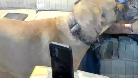 O F   jay short786 online show from March 5, 4:49 pm