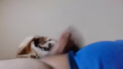 jayl458 online show from March 10, 11:01 am