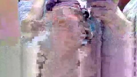 jb78510170 online show from April 13, 3:05 pm