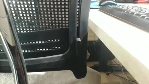 jc200000 online show from January 16, 6:16 pm