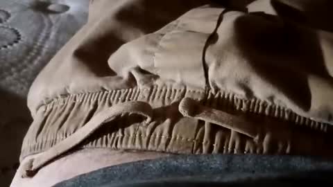 bigcock420 online show from January 17, 9:52 am