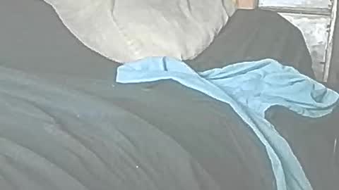 jedishy925585 online show from November 15, 11:34 am