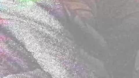 jedishy925585 online show from January 11, 7:47 am