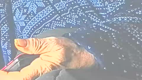 jedishy925585 online show from December 22, 1:29 pm