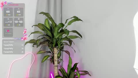 Tokio online show from November 1, 1:17 am