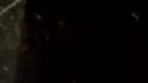 Snapshot of jettin36 chatting on September 17, 1:14 pm Uncut thick 5 online show from September 17, 1:14 pm