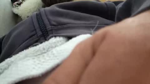 jezzawick1 online show from February 28, 1:53 am