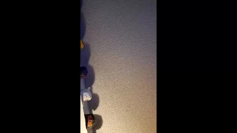 Joseph Mendham online show from February 15, 2:47 am