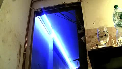 jhkhjku538466 online show from February 17, 4:09 am