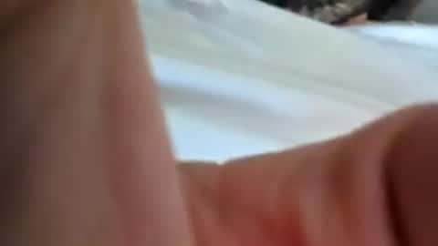 joe66661 online show from July 18, 12:07 pm