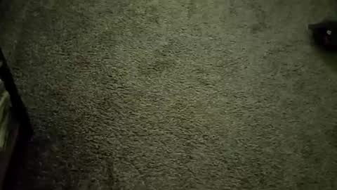 joetapp15217765 online show from April 15, 8:17 am