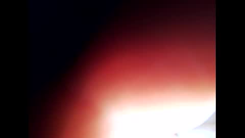 johnlong25cm online show from December 24, 9:28 am