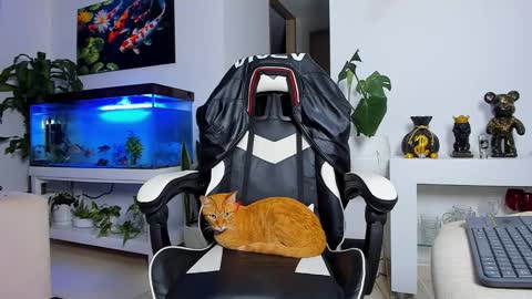 JOHNNY online show from September 19, 12:26 am