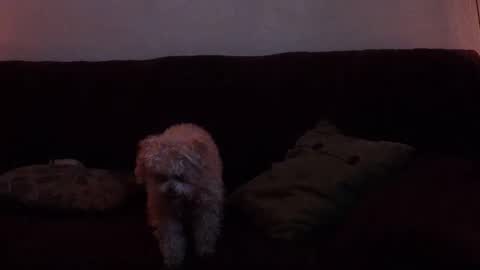 JayHungster xxx online show from October 26, 7:42 am