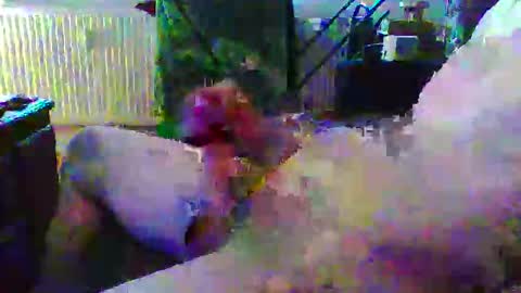 jooshi1981 online show from November 28, 11:50 am