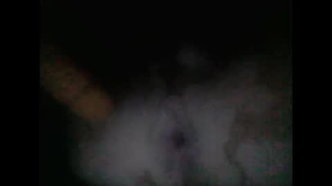 jose_longoria266 online show from November 9, 2:04 am