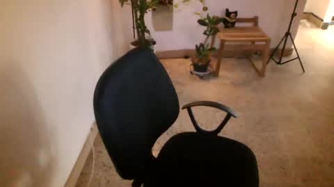juan235665 online show from July 9, 10:03 pm