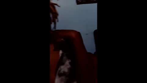 juicybabe102874 online show from March 8, 5:06 pm