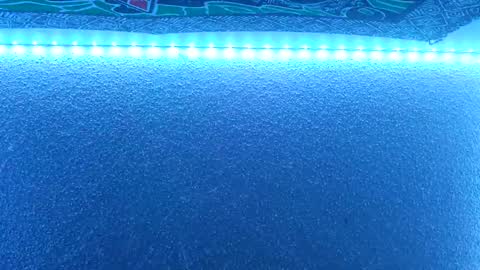 Midnitestarr online show from February 22, 1:33 am