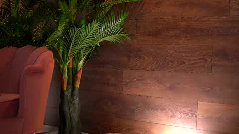 Kaira online show from February 1, 5:10 pm