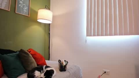 Karlye online show from November 11, 5:04 pm