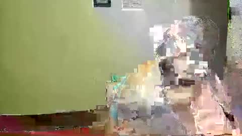 Karol online show from May 3, 2:28 am