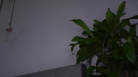 Katie online show from February 11, 11:14 am