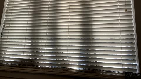 keepquietj online show from February 7, 9:48 pm