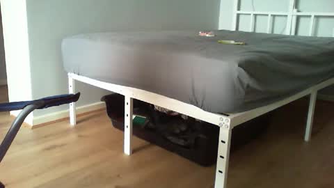 Daddyo online show from February 20, 11:01 am