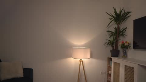 Snapshot of kevinandresxx chatting on January 3, 11:46 am Kevin online show from January 3, 11:46 am