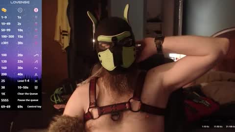 kinkywolf87 online show from May 10, 4:30 am