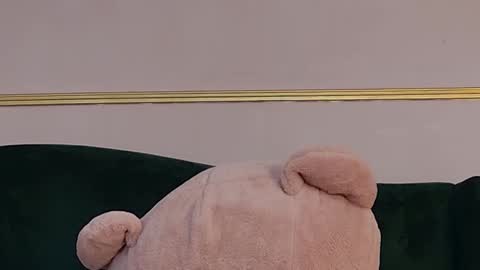 Kirra online show from March 18, 6:08 am