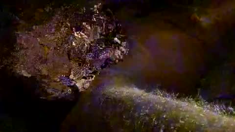 Kitkat loco online show from November 7, 12:40 pm