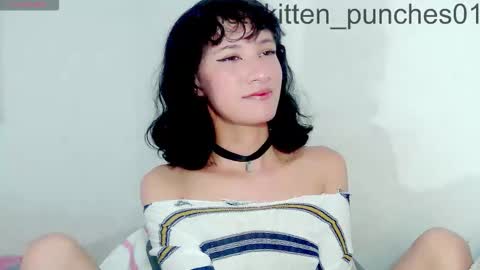 kitten_punches02 online show from November 16, 3:03 pm