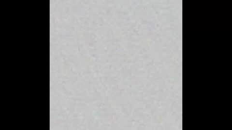 kittykat 1999 online show from December 17, 6:47 pm