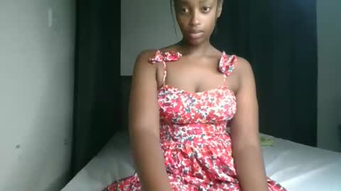 Kittypettite online show from March 1, 4:22 pm