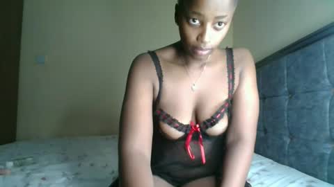 Kittypettite online show from November 9, 1:36 pm