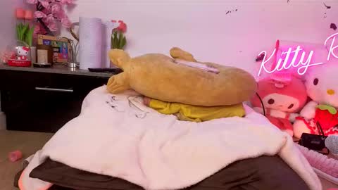 Kitty online show from February 17, 12:53 am