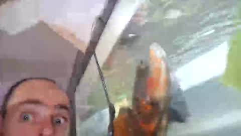 Daddy  His Splash Queen online show from April 14, 5:11 am