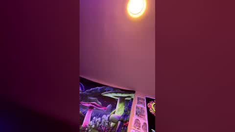 korysmith568 online show from January 9, 3:45 am