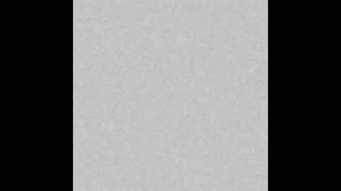  paola and a guest lol    online show from November 2, 4:40 pm