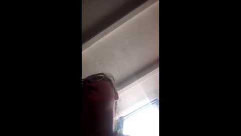 laia_hadid online show from February 16, 3:21 pm