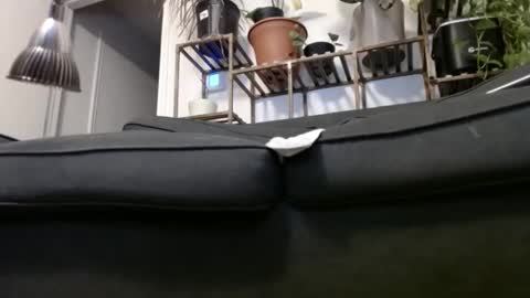 Snapshot of laidback_and_chill chatting on December 23, 4:33 am Rick online show from December 23, 4:33 am